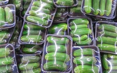 Imballaggi compostabili,  in arrivo obblighi e sanzioni